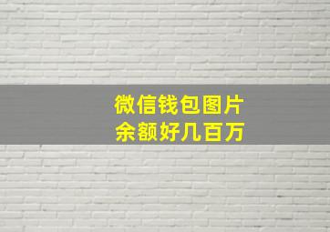 微信钱包图片 余额好几百万